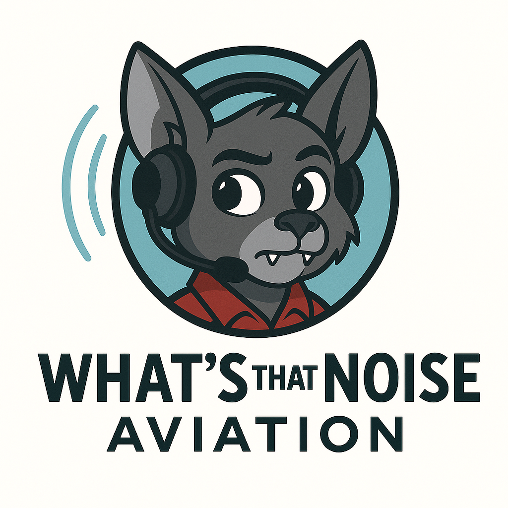 What's That Noise Aviation